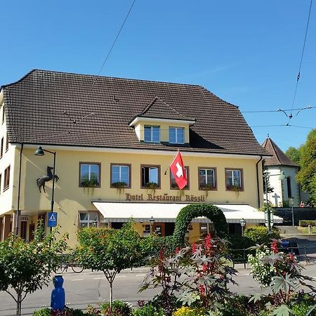 Hotel Roessli Allschwil エクステリア 写真