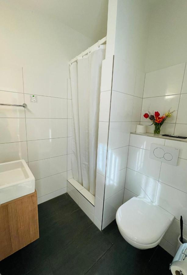 Hotel Roessli Allschwil エクステリア 写真