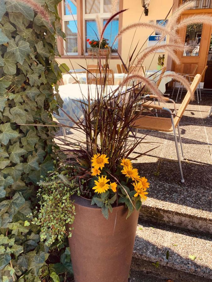 Hotel Roessli Allschwil エクステリア 写真